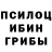 Галлюциногенные грибы мухоморы ZLATA ZOLOTAY