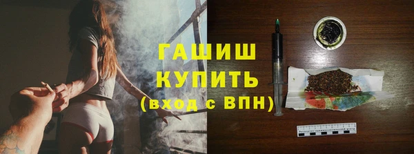 таблы Гусев