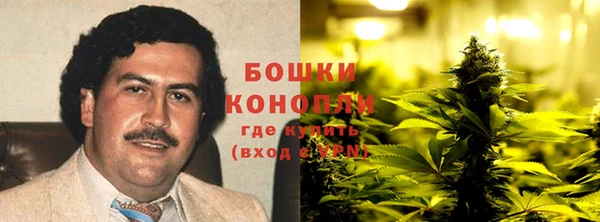 соль ск Гусиноозёрск