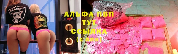 таблы Гусев