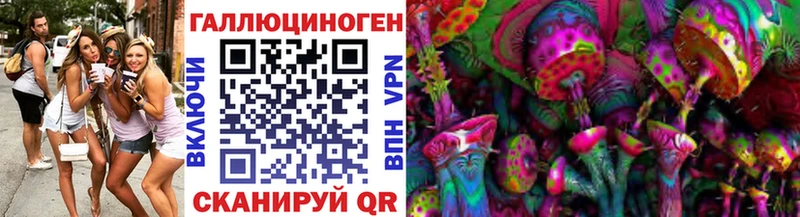 где найти   Енисейск  Галлюциногенные грибы Psilocybine cubensis 